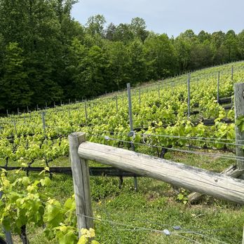 Potomac Point Winery - Wineries Near Me - Stafford, Virginia