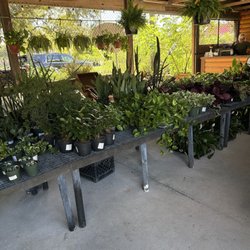Citrus Park Landscape Nursery