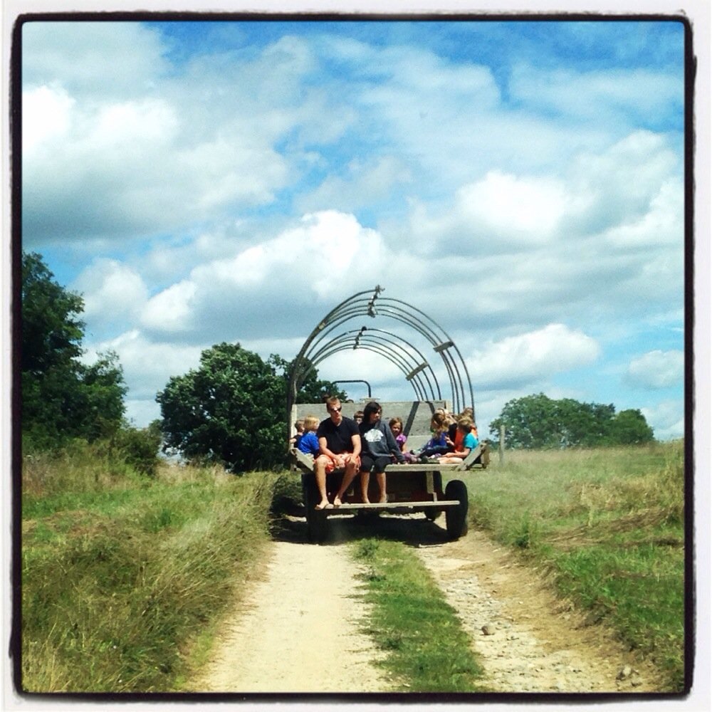 Hayrides Hayrides
