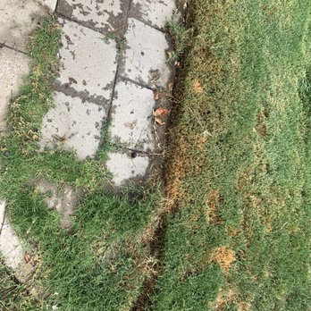 Empire Yard Maintenance - The image shows a section of concrete sidewalk with multiple cracks and patches of dirt. The sidewalk is bordered by overgrown grass and weeds, some of which are encroaching onto the concrete. The grass appears uneven and unkempt, with patches of brown and green. The scene suggests an outdoor area that has not been recently maintained. - Landscaping Near Me