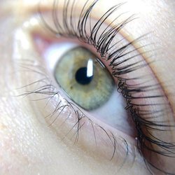 I'BROW BOUTIQUE