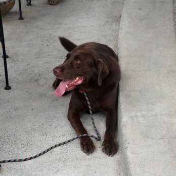 River's Edge Bar and Grill - Dog Friendly Restaurant - New American Near Me - Charlotte, North Carolina