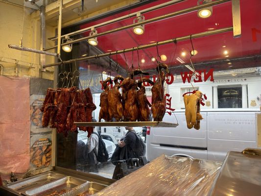 New Golden Daisy by null