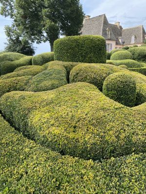 The Marqueyssac Gardens by null