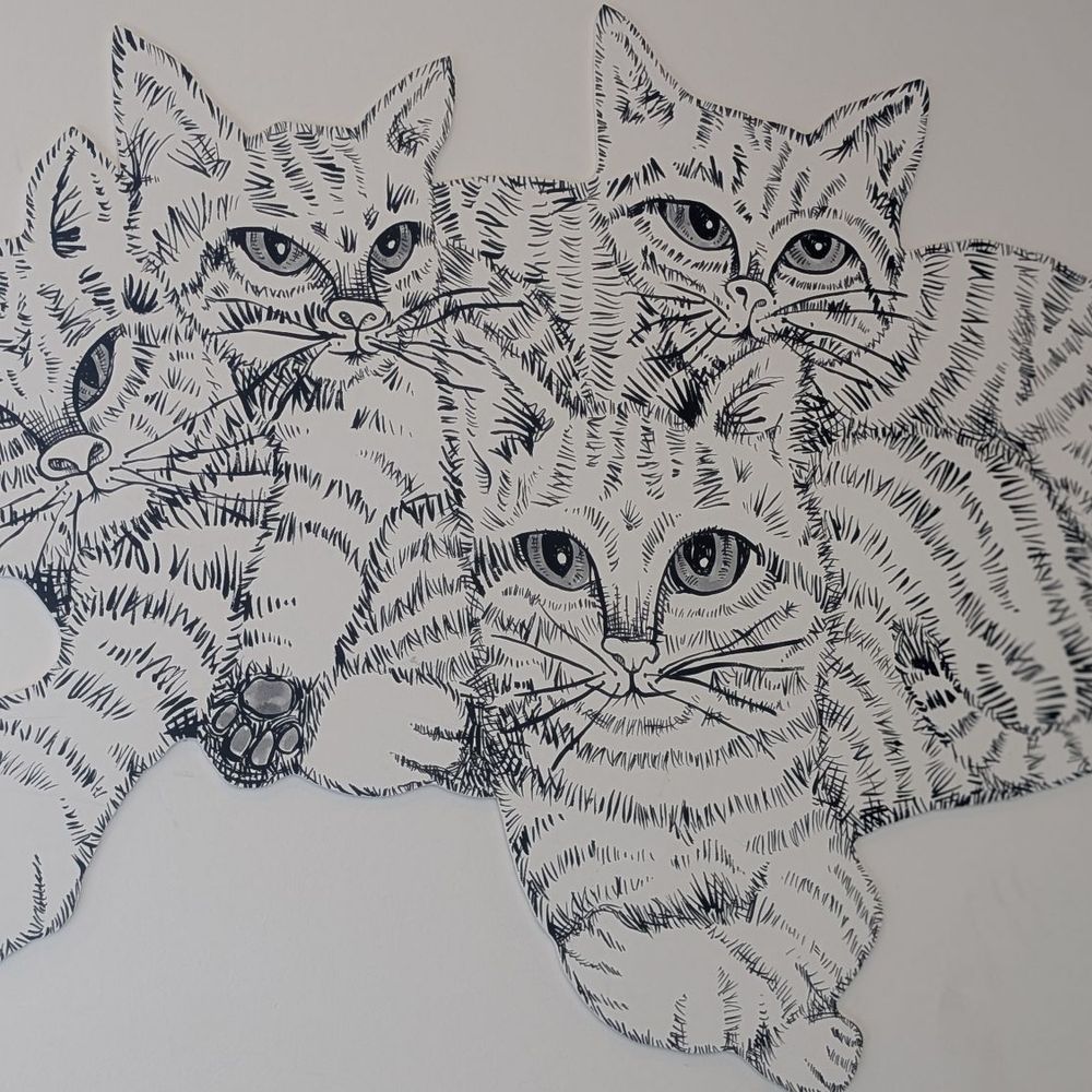 Cat Town - Inside the cafe - Animal Shelters Near Me - Oakland, California Cat Town - Inside the cafe - Animal Shelters Near Me - Oakland, California