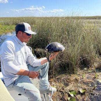 Airboat In Everglades - First turtle - Boat Tours Near Me - Miami, Florida Airboat In Everglades - First turtle - Boat Tours Near Me - Miami, Florida