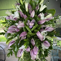 Kaeleku Tropicals