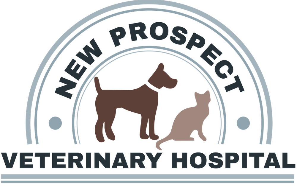 NEW PROSPECT VETERINARY HOSPITAL Updated September 2024 6015 Hwy 11