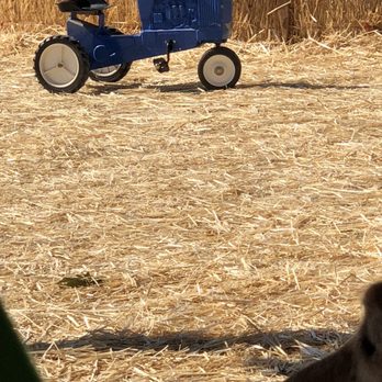 Goblin Gardens - Pick Your Own Farms Near Me - Sacramento, California Goblin Gardens - Pick Your Own Farms Near Me - Sacramento, California
