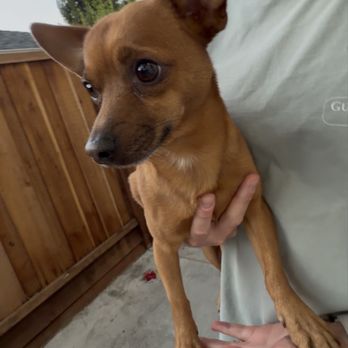 Peninsula Humane Society & SPCA - Animal Shelters Near Me - San Mateo, California