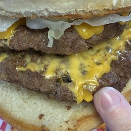 Fly in burger