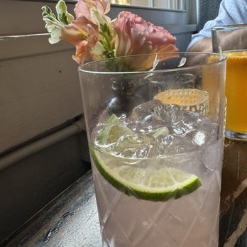 Dovetail - Paloma - Southern Near Me - Macon, Georgia