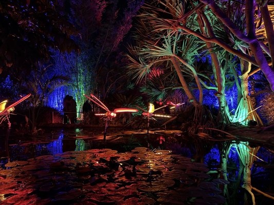 San Diego Botanic Garden by null