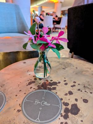 Bistro Collins by null