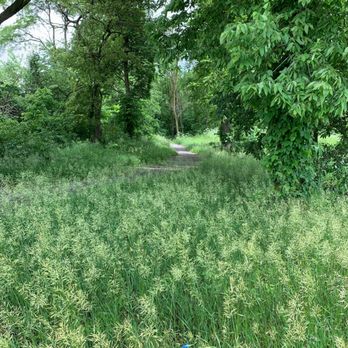 Walker Park And Nature Trail - Nature trail. - Parks Near Me - Whitestown, Indiana Walker Park And Nature Trail - Nature trail. - Parks Near Me - Whitestown, Indiana