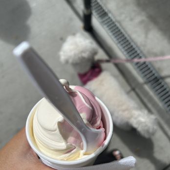 Meadowlark Dairy - Ice Cream & Frozen Yogurt Near Me - Pleasanton, California