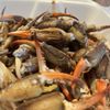 Skinner's Seafood gift card