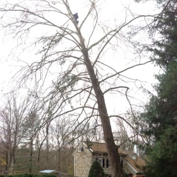 On Top Tree Service - Ontoptreeservice.biz - Tree Services Near Me - Downingtown, Pennsylvania On Top Tree Service - Ontoptreeservice.biz - Tree Services Near Me - Downingtown, Pennsylvania