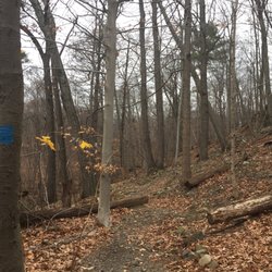 Buttermilk Falls CountyPark - Follow the blue blaze trail from north end of parking lot to the waterfalls