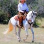 Photo of Az-Tex Hat Company
