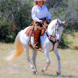 Az-Tex Hat Company - The right hat always makes the picture perfect!