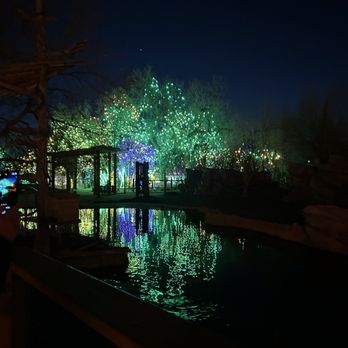 Denver Zoo Lights - Lights By Pond - Festivals Near Me - Denver, Colorado