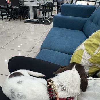 Davich Optical - Exam Waiting lobby (: very cozy Frida approved lol - Optometrists Near Me - Los Angeles, California