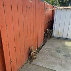 209JUNK - Tree removal