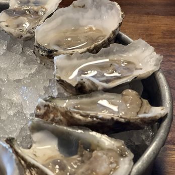 Motorkat - Oysters - Seafood Near Me - Takoma Park, Maryland