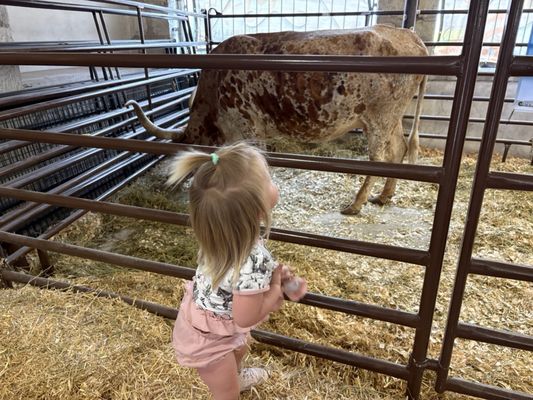 Colorado State Fairgrounds by null
