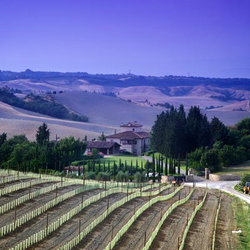 Borgo della Meliana