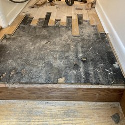 Planet Hardwood - During