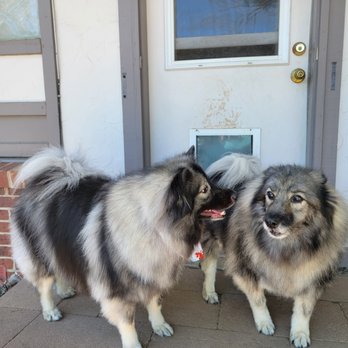 Super Pups - Pet Groomers Near Me - Lakewood, Colorado Super Pups - Pet Groomers Near Me - Lakewood, Colorado