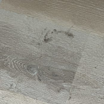 Insider Disinfecting - Filthy floor - Pressure Washers Near Me - Davie, Florida Insider Disinfecting - Filthy floor - Pressure Washers Near Me - Davie, Florida