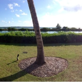Hawks Cay Resort - Adult side of the resort - Resorts Near Me - Duck Key, Florida Hawks Cay Resort - Adult side of the resort - Resorts Near Me - Duck Key, Florida