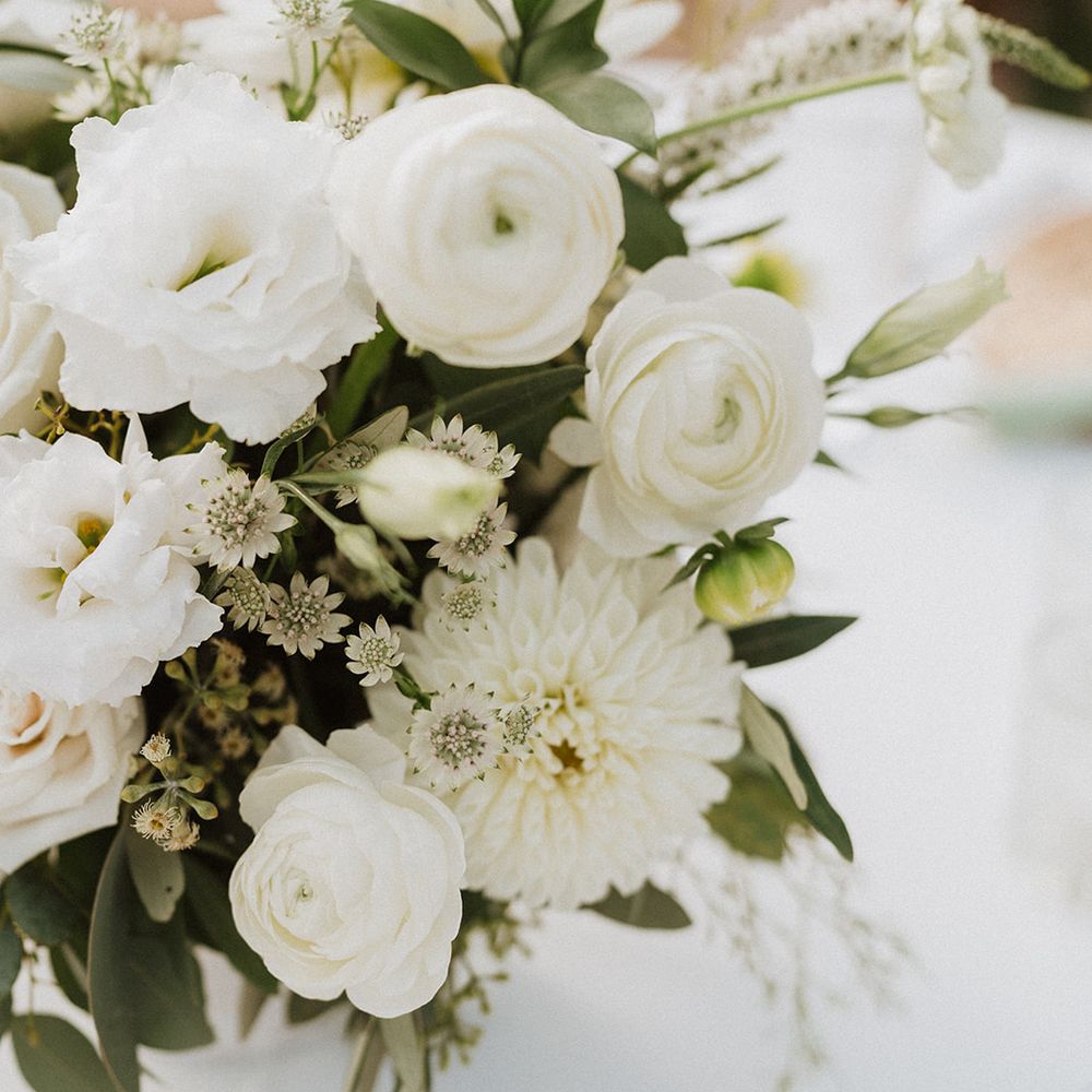 Twisted Twig Fine Florals - Florists Near Me Twisted Twig Fine Florals - Florists Near Me