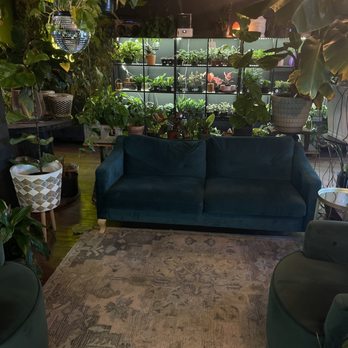Botanical Brew - Seating area - Coffee & Tea Near Me - Lyman, South Carolina Botanical Brew - Seating area - Coffee & Tea Near Me - Lyman, South Carolina