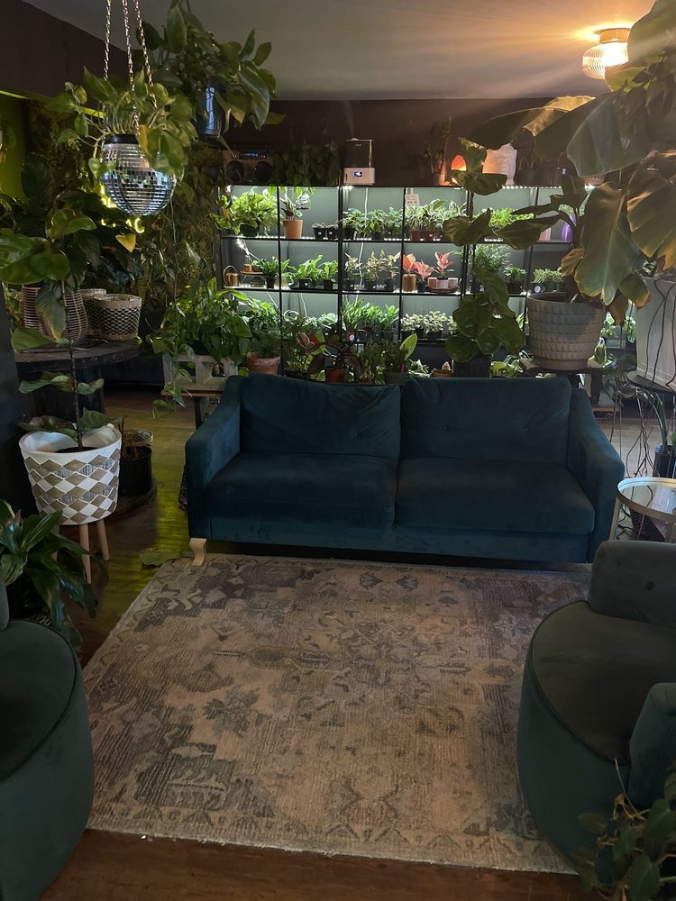 Botanical Brew Image