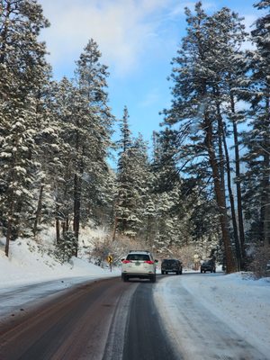 Hyde Memorial State Park by null