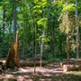 Cudahy Nature Preserve