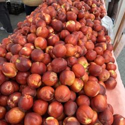 Ken’s Top Notch - Stone Fruits at the Fort Mason Center Farmers Market