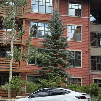 The Village Lodge - Hotels Near Me - Mammoth Lakes, California The Village Lodge - Hotels Near Me - Mammoth Lakes, California