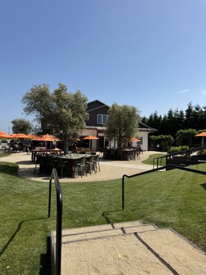 Roche Winery & Vineyards by null