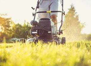 Joe's Tree Services - tree service in San Antonio, TX