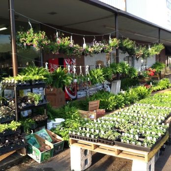 Main St Lawn Garden & Hardware - Main Street Lawn and Garden Shop in Rural Hall - Home & Garden Near Me - Rural Hall, North Carolina Main St Lawn Garden & Hardware - Main Street Lawn and Garden Shop in Rural Hall - Home & Garden Near Me - Rural Hall, North Carolina
