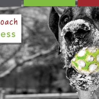 Veterinary Holistic Center - Springfield Vet - Veterinarians Near Me - Springfield, Virginia