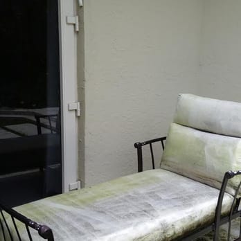 West Boca Upholstery - Completely moldy after only one month. - Furniture Reupholstery Near Me - Boca Raton, Florida West Boca Upholstery - Completely moldy after only one month. - Furniture Reupholstery Near Me - Boca Raton, Florida