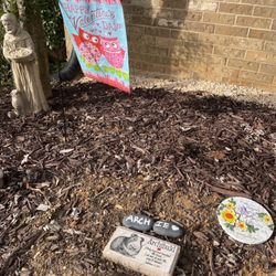 Matthew Felrice Dvm - Archie's grave