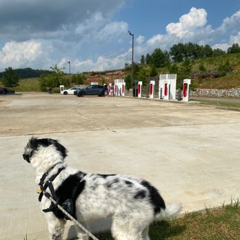 Tesla Supercharger - EV Charging Stations Near Me - Guin, Alabama Tesla Supercharger - EV Charging Stations Near Me - Guin, Alabama