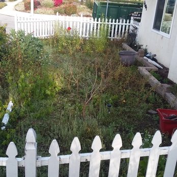 Aquatlan Landscaping - Garden - before - Landscaping Near Me Aquatlan Landscaping - Garden - before - Landscaping Near Me